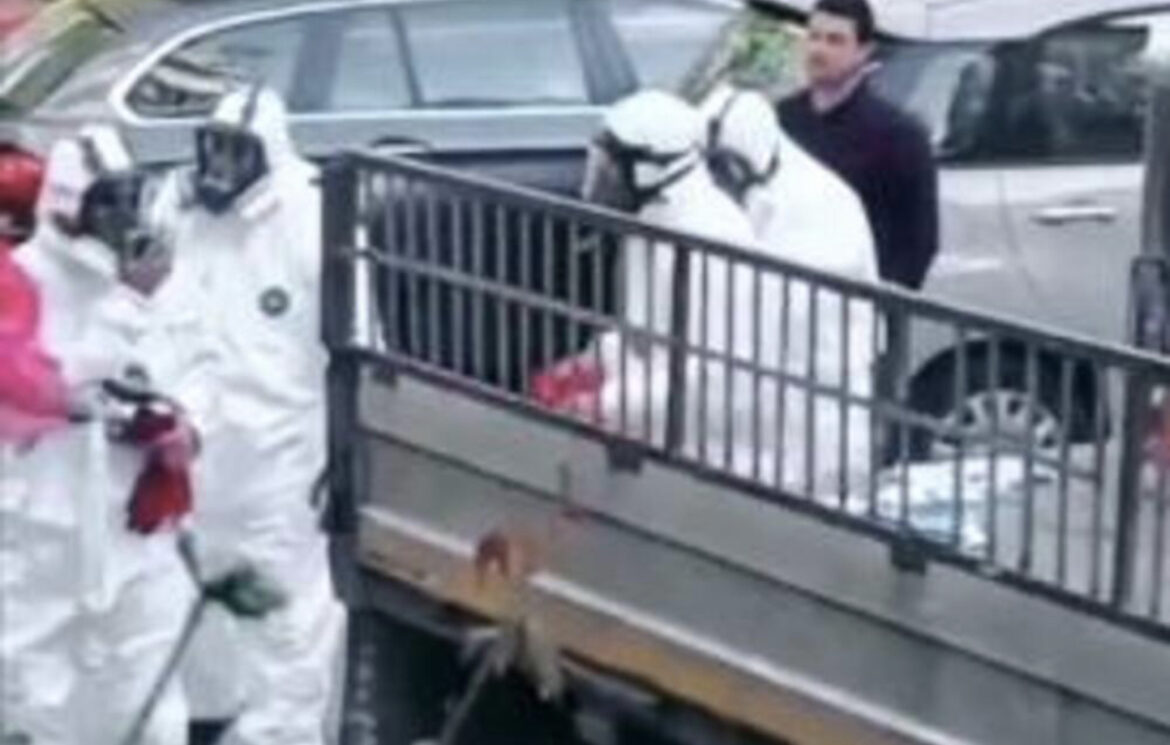 JEZIVO! OD OSTATAKA LEŠA ZGRADA OSTALA ULEPLJENA, SMRDLJIVA! Horor scene iz novosadske višespratnice, stanari žive u agoniji VIDEO 