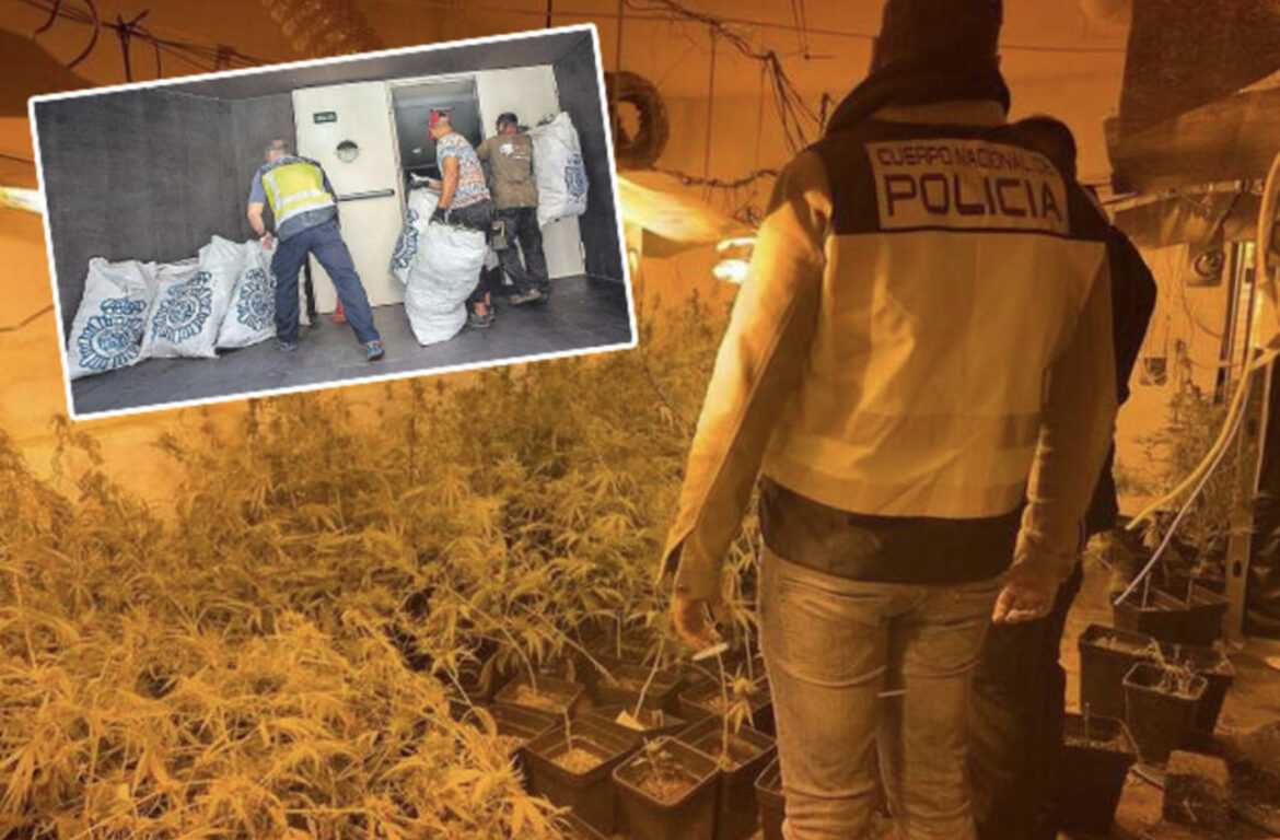OVO JE PLANTAŽA SRPSKE NARKO BANDE: Novac prali preko voća i restorana, a u Srbiji pare TROŠILI NA OVO!