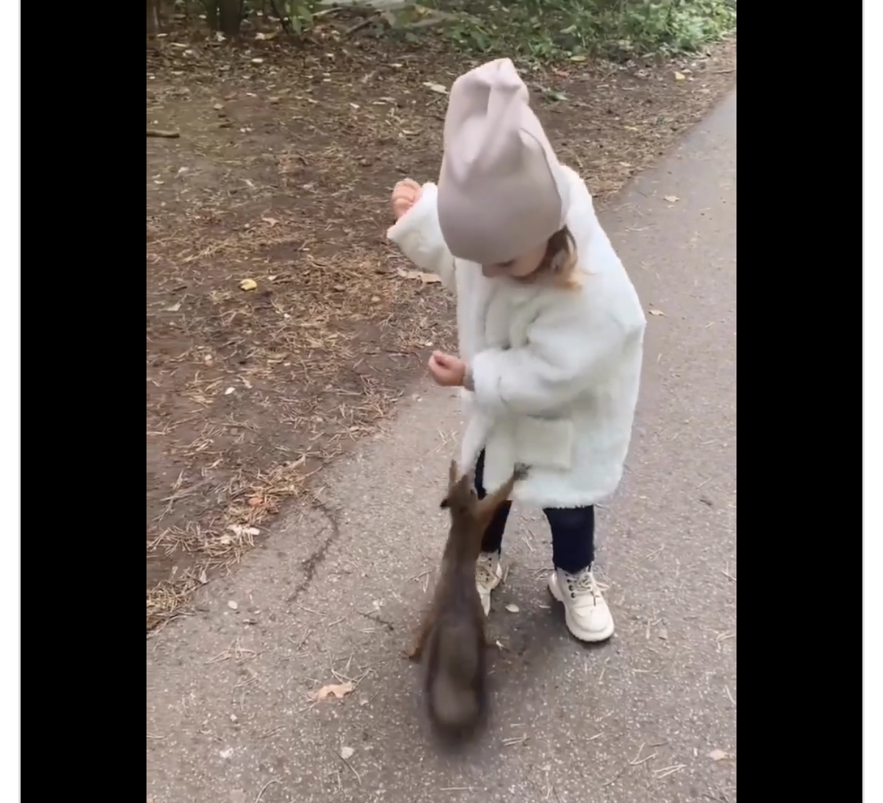 NAJSLAĐI SNIMAK ZA DOBRO JUTRO! Pogledajte kako se VEVERICA popela&hellip;