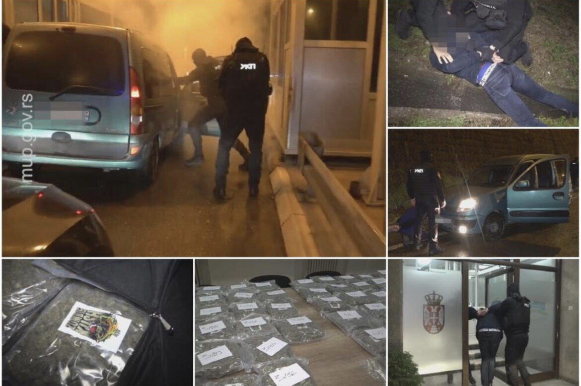 POGLEDAJTE AKCIJU POLICIJE KOD SMEDEREVA: Zaplenili više od 100 kilograma marihuane, 3 dilera uhapšena