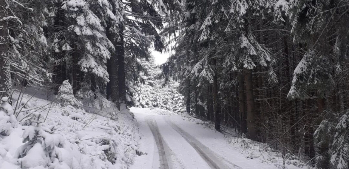SNEG PADA ŠIROM SRBIJE! RHMZ UPOZORAVA: Očekuje se i do 40 centimetara snežnog pokrivača! Evo kakvo nas vreme čeka za vikend FOTO 