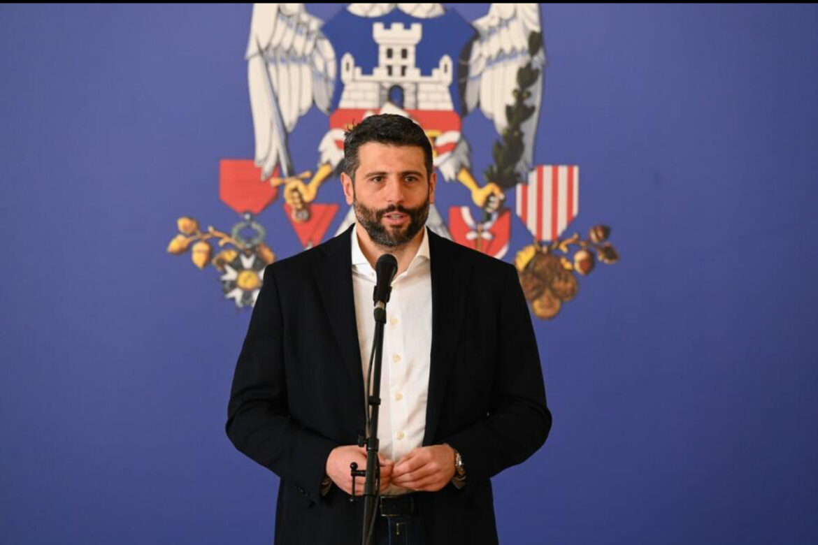 ALEKSANDAR ŠAPIĆ: Doček Nove godine u Beogradu pokazao da je srpska prestonica jedna od najbezbednijih u Evropi! 