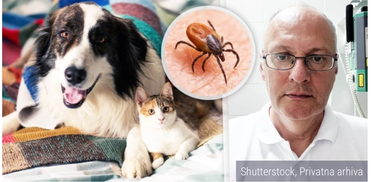 Lajmska bolest tihi ubica za ljubimca! Ovo su simptomi koji&hellip;