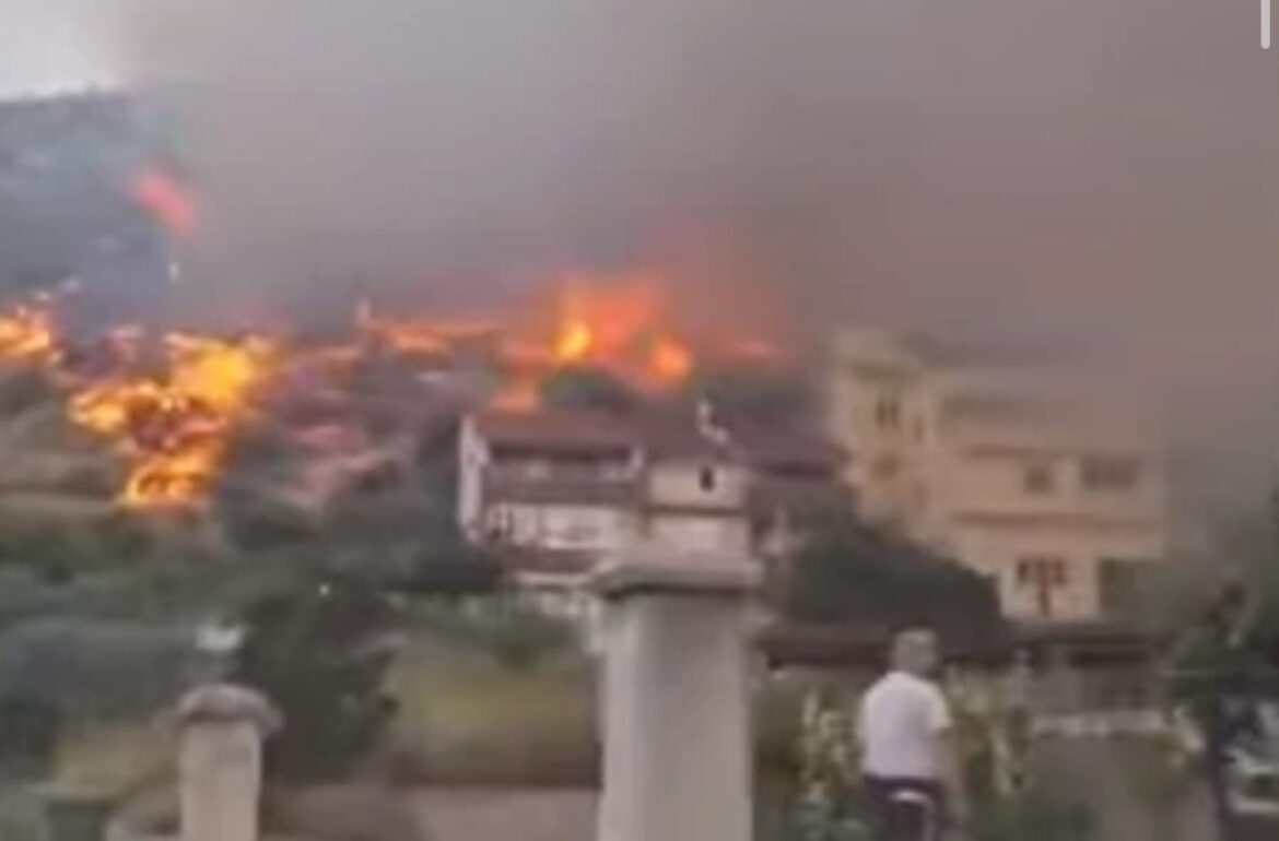 SVI U PANICI! POŽAR NASTAVLJA DA PUSTOŠI, ZAHVAĆENI I MASLINJACI: Jezivi snimci vatre koja se sve više širi (FOTO