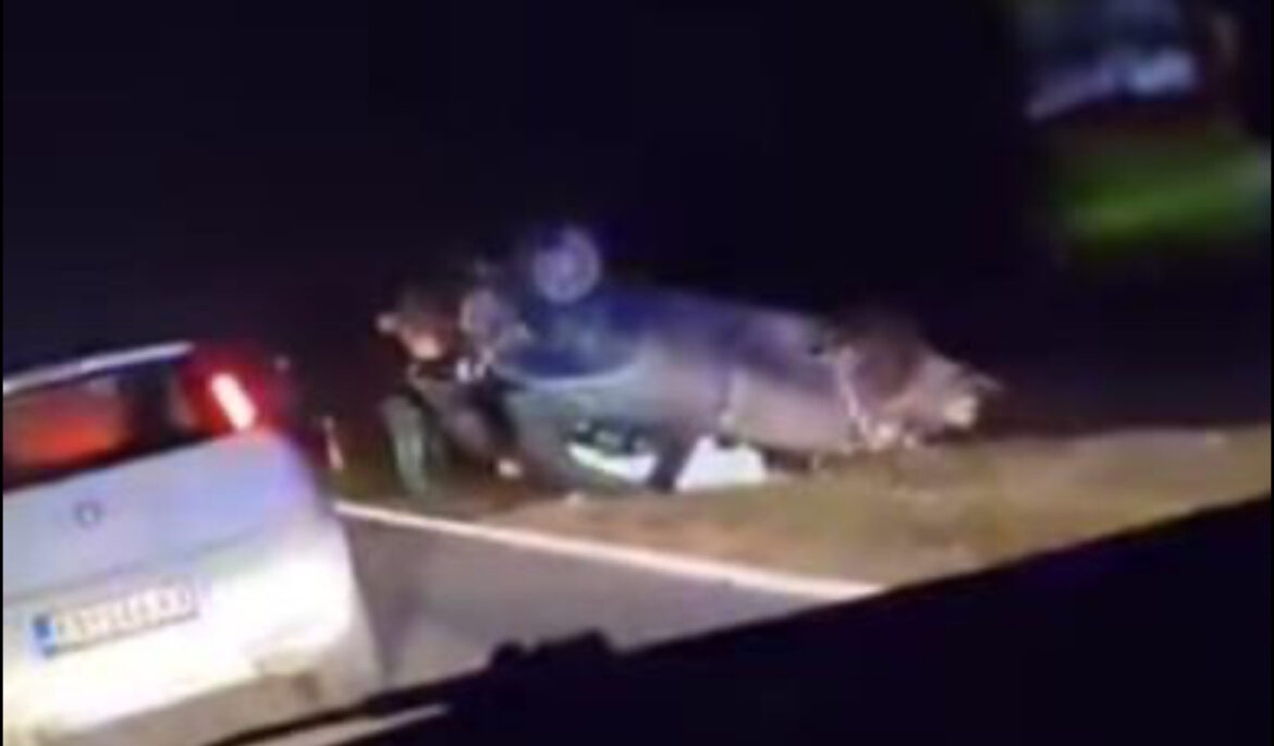 TEŠKA SAOBRAĆAJNA NESREĆA NA IZLAZU IZ BAVANIŠTA: Automobil totalno uništen, prevrnut na krov (VIDEO)