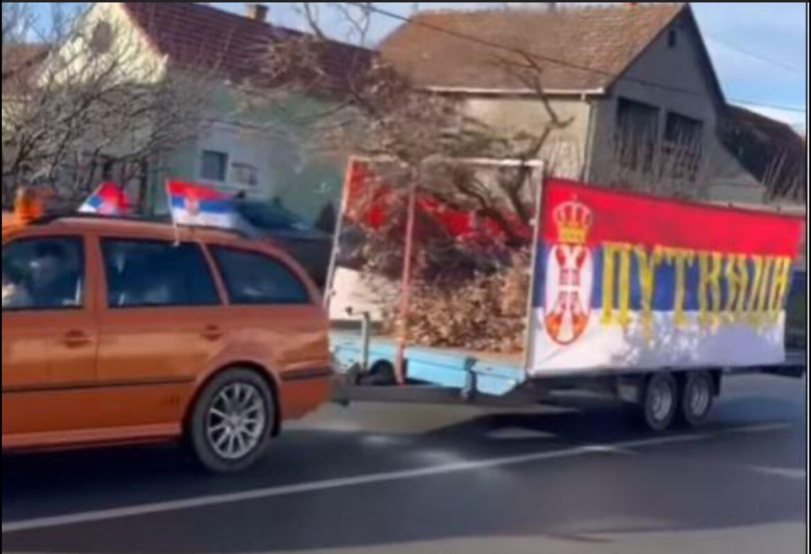 OVAKO SE DANAS U SRBIJI IŠLO PO BADNJAK! Uz pesmu, trubače i trobojke! Ljudi izvirivali iz kuća i izlazili na ulice da vide momke u koloni (foto, video)