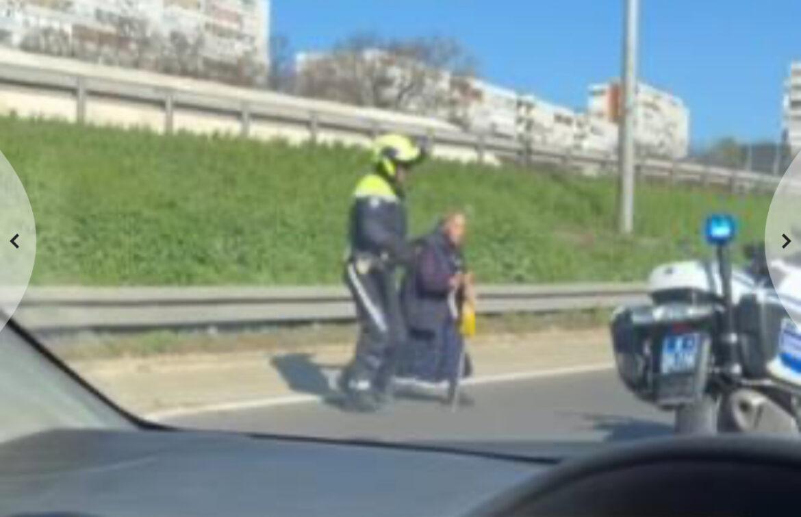 BAKA SA SVE ŠTAPOM POKUŠALA DA PREĐE AUTO-PUT! Pogledajte nesvakidašnji prizor i reakciju policajaca, zaustavili kolonu vozila i evo šta su uradili (video)