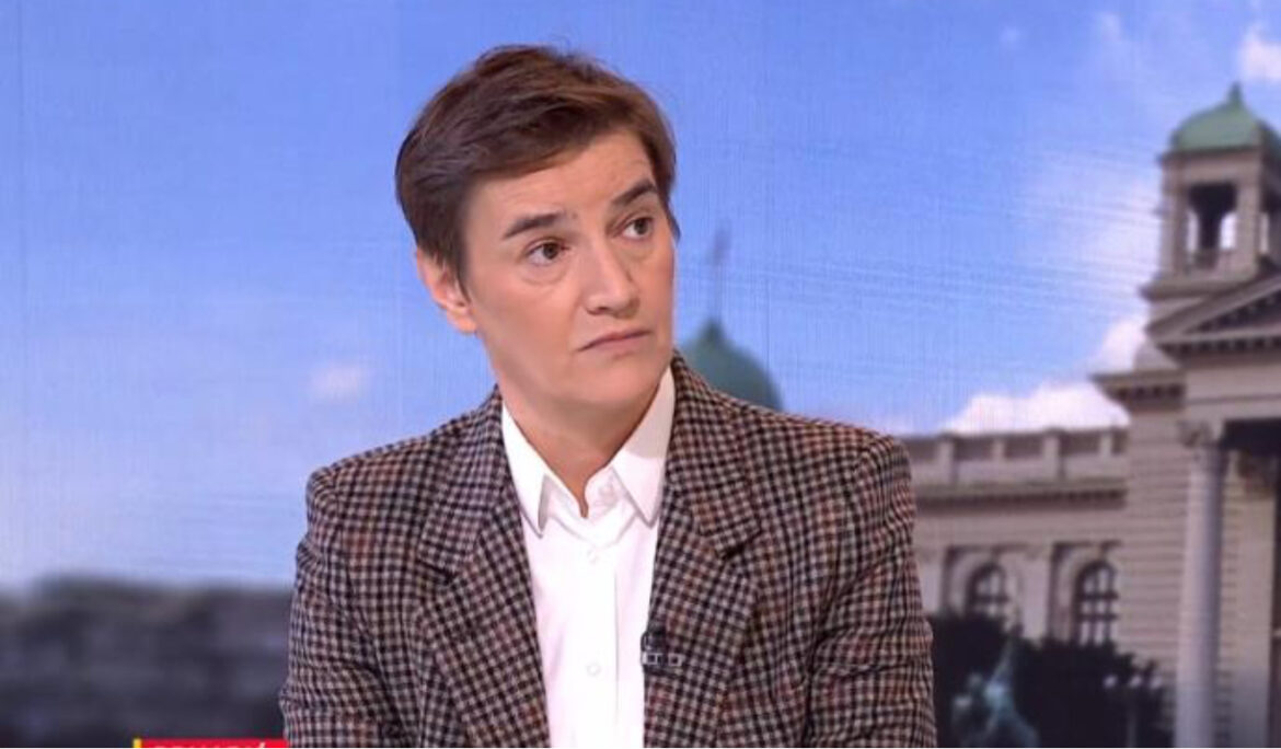 „TO BI BIO ALIBI ZA UBISTVO VUČIĆA!“ Brnabić o hapšenju Miše Bačulova i obeležavanju tragedije u Novom Sadu: Predsednik je poslao 5 važnih poruka!