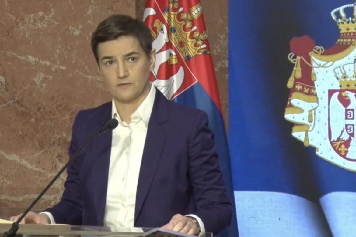 „NEMA GRADOVA I OPŠTINA PRVOG I DRUGOG REDA, NAMA JE SVAKA OPŠTINA VAŽNA“ Brnabić o lokalnim izborima: Biće zahtevni i teški!