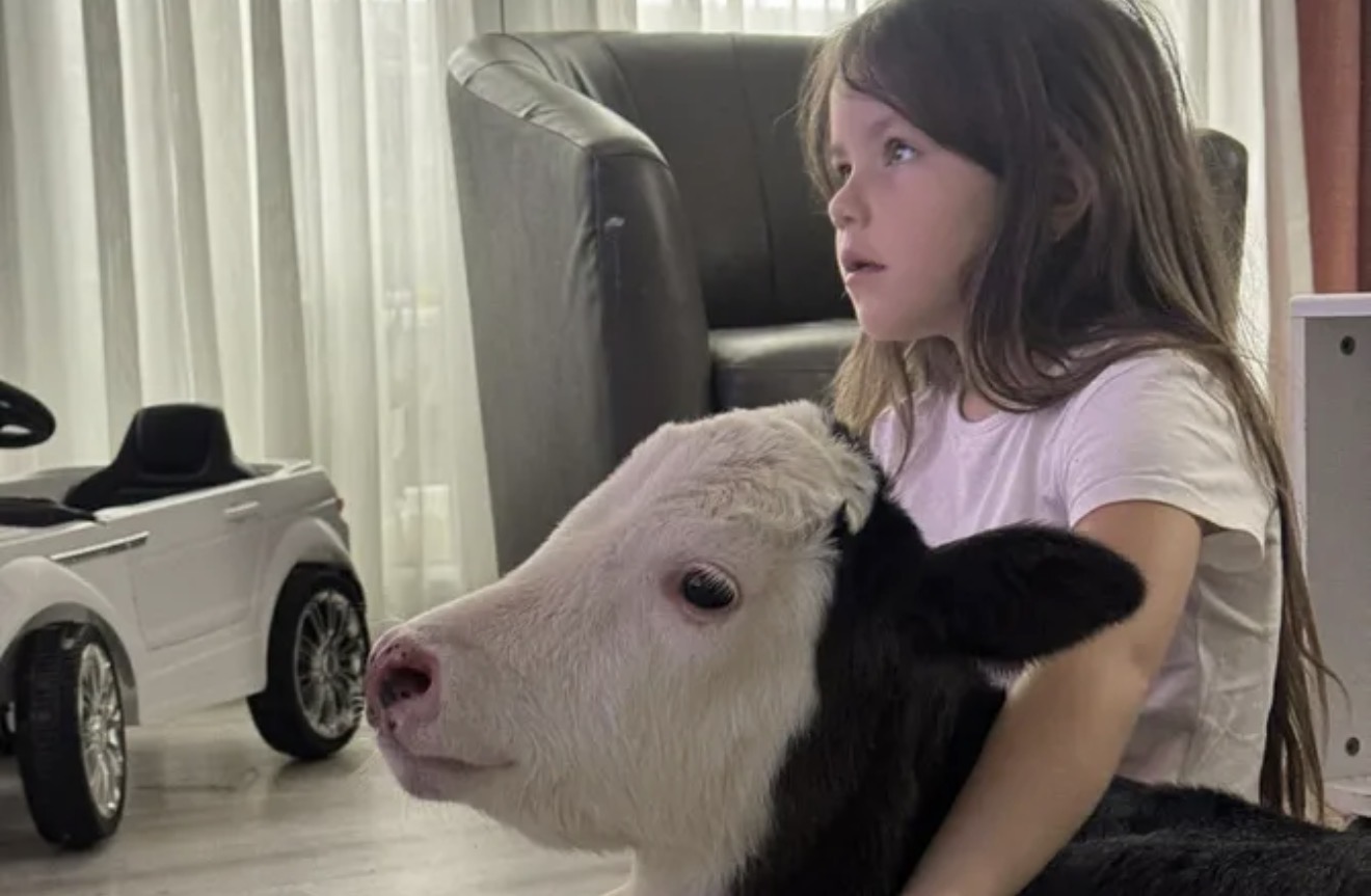 Uginulo telence koje je osvojilo čitav Balkan! Oglasila se Tamara&hellip;