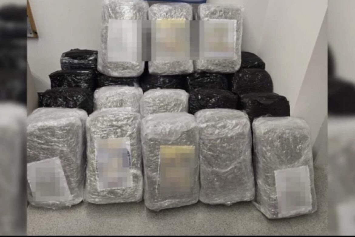 ČAMCEM KOD BAČKE PALANKE PREVOZILI 20 KILA KOKAINA! Isplivali sve detalji velike akcije policije – traga se za ovim muškarcima!