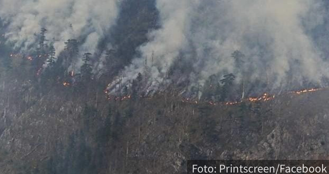 Drama u Crnoj Gori: GORI zaštićena zona Unesko, veliki požar na Durmitoru (FOTO)