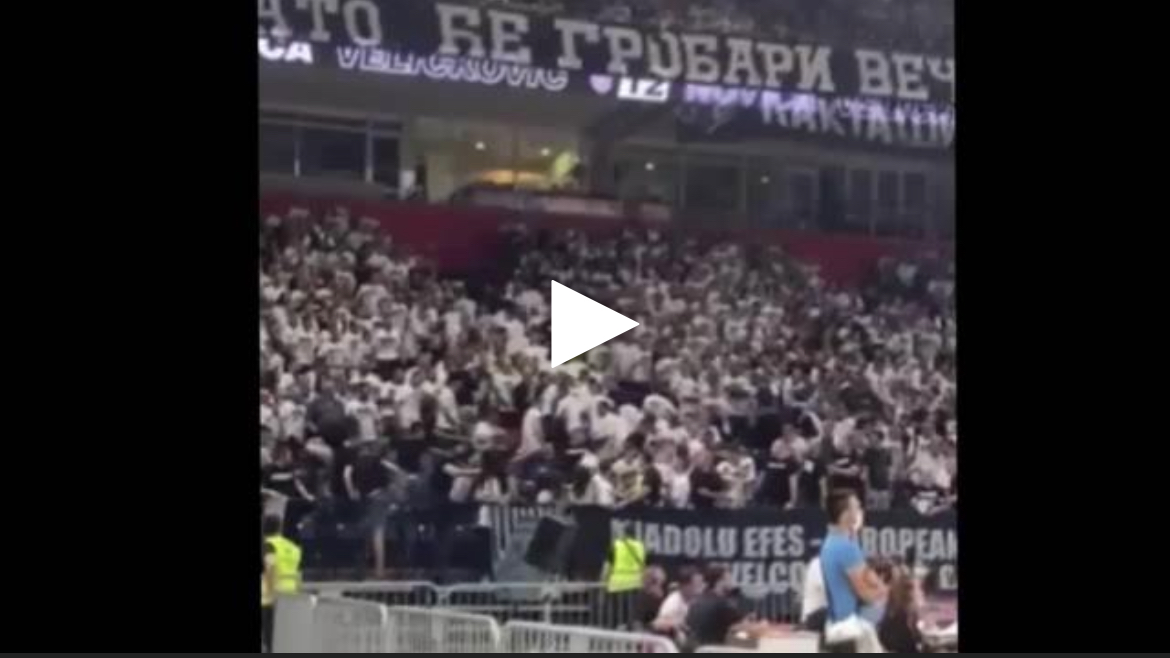 HAOS U ARENI: Grobari se potukli na prijateljskoj utakmici Partizana sa Efesom! NEVIĐENA DRAMA U HALI (VIDEO)
