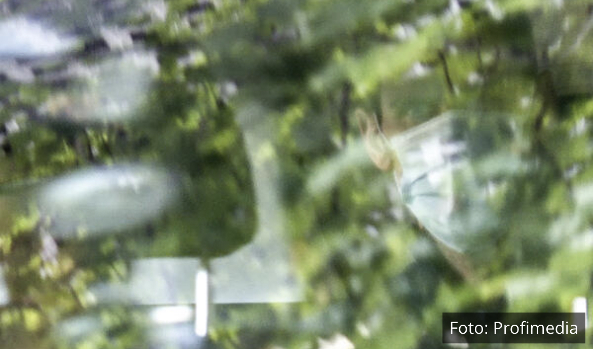 PRVA FOTKA NOVAKA POSLE PET DANA TORTURE: Đoković uslikan u Melburnu! Lice POBEDNIKA izgleda ovako (FOTO)