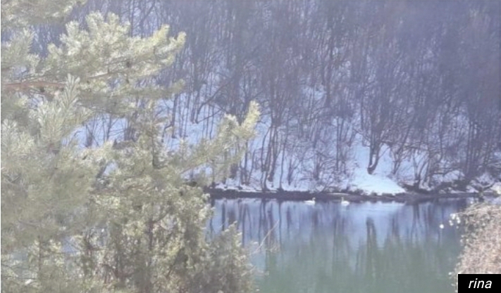 Na jezeru kod Nove Varoši snimljen NEVEROVATAN PRIZOR