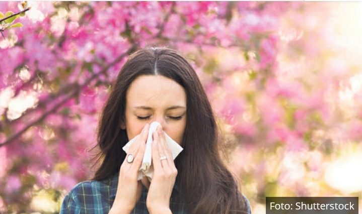 AKO STE ALERGIČNI NA POLEN, POSTOJE BILJKE KOJE VAM NEĆE SMETATI: Ovo je spisak CVEĆA koje možete gajiti uprkos alergiji