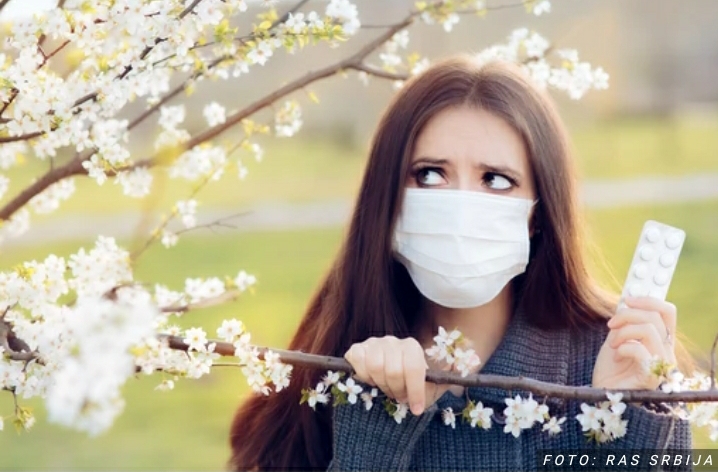 Već visoka zasićenost vazduha polenom, a problemi tek slede: Mnogima će presesti CVETANJE BREZE
