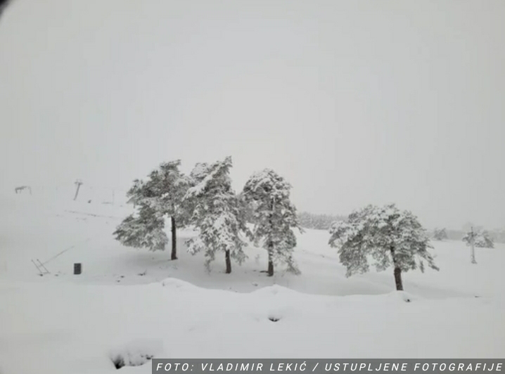April odmakao, a ZAVEJALO KAO U SRED ZIME: Zlatibor osvanuo pod 15 centimetara snega (FOTO, VIDEO)