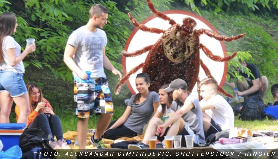 6 ZNAKOVA KOJI POKAZUJU DA VAS JE UJEO ZARAŽEN KRPELJ Ima ih na svim popularnim izletištima širom Beograda, lekari savetuju šta da uradite čim primetite insekta