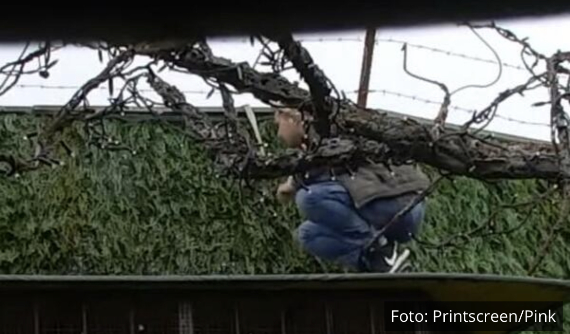 BEBICA POBEGAO IZ ZADRUGE! Nakon što je Miljana otkrila PRAVU ISTINU, Nenad preskočio ogradu i NAPUSTIO BELU KUĆU! (VIDEO)