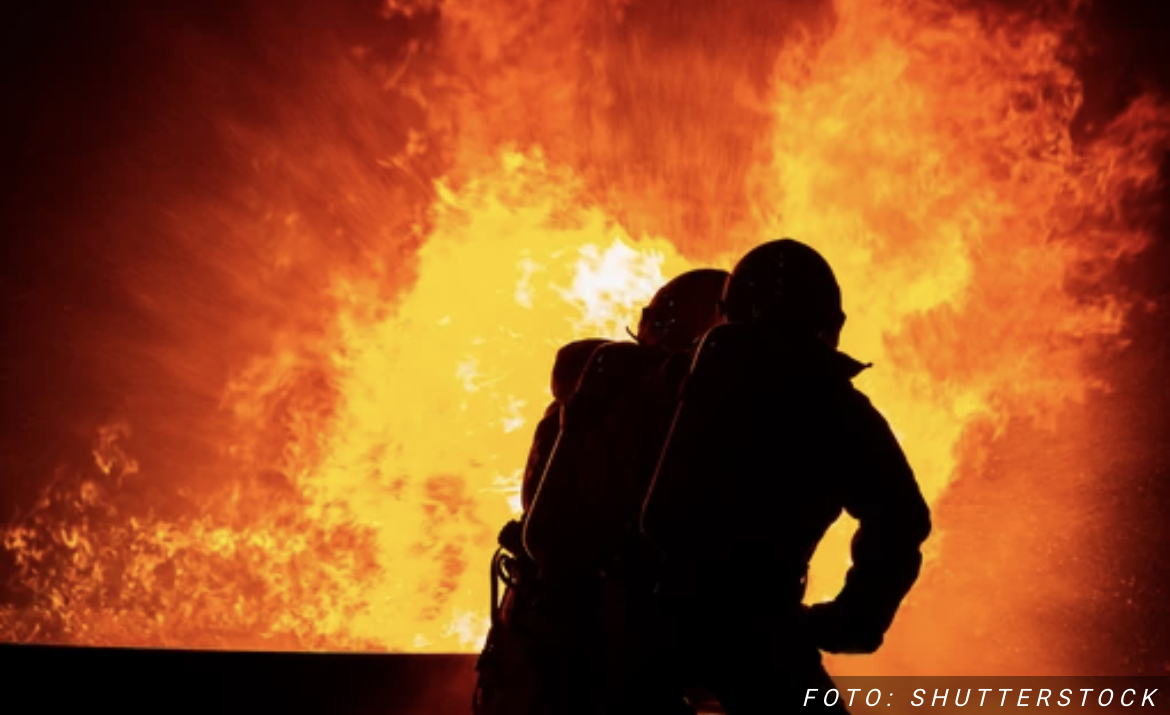 IZBIO POŽAR U GORNJEM MILANOVCU Gorelo oko 1,5 hektar šume, vatrogasci uspeli da obuzdaju vatru