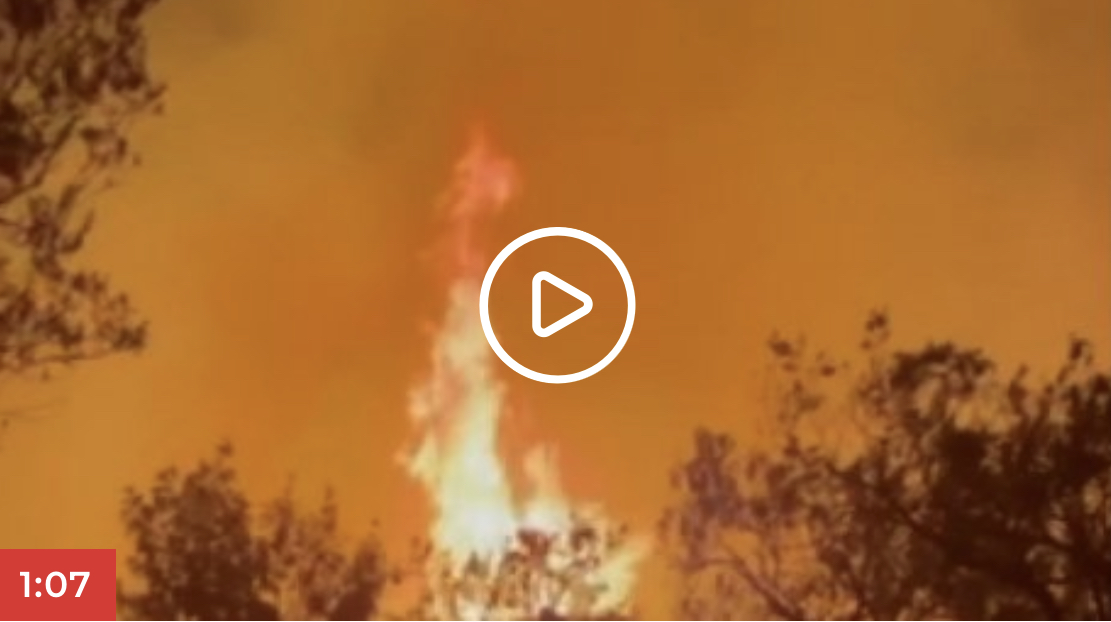 Snimak strašnog požara u blizini luksuznog hotela u Grčkoj: Oštećeni delovi rizorta, gosti evakuisani čamcima