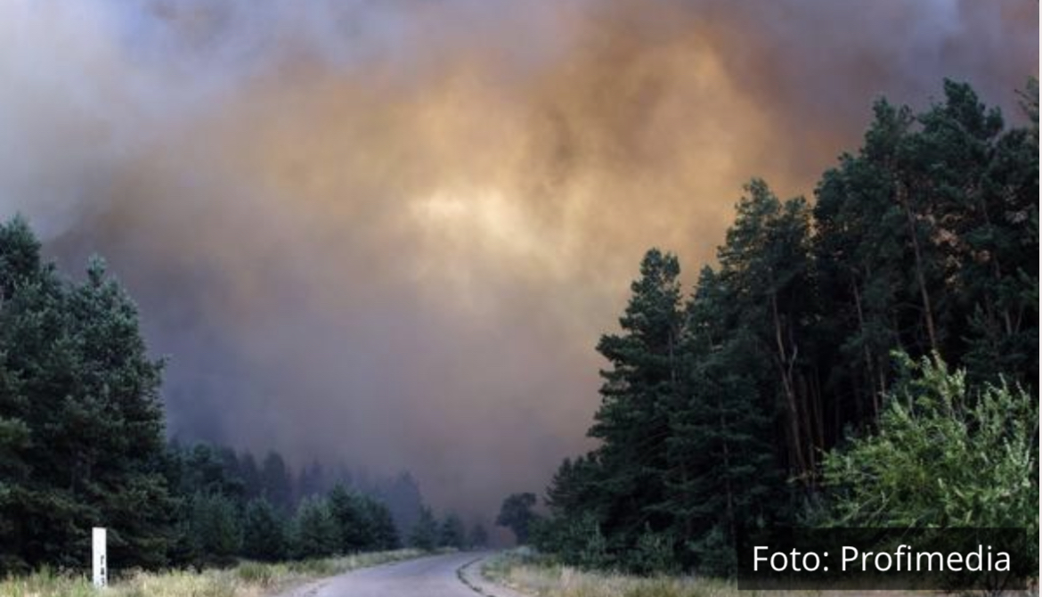 VELIKI ŠUMSKI POŽAR KOD BEROVA U SEVERNOJ MAKEDONIJI: Vatra zahvatila više od 50 hektara, brzo se širi zbog vetra