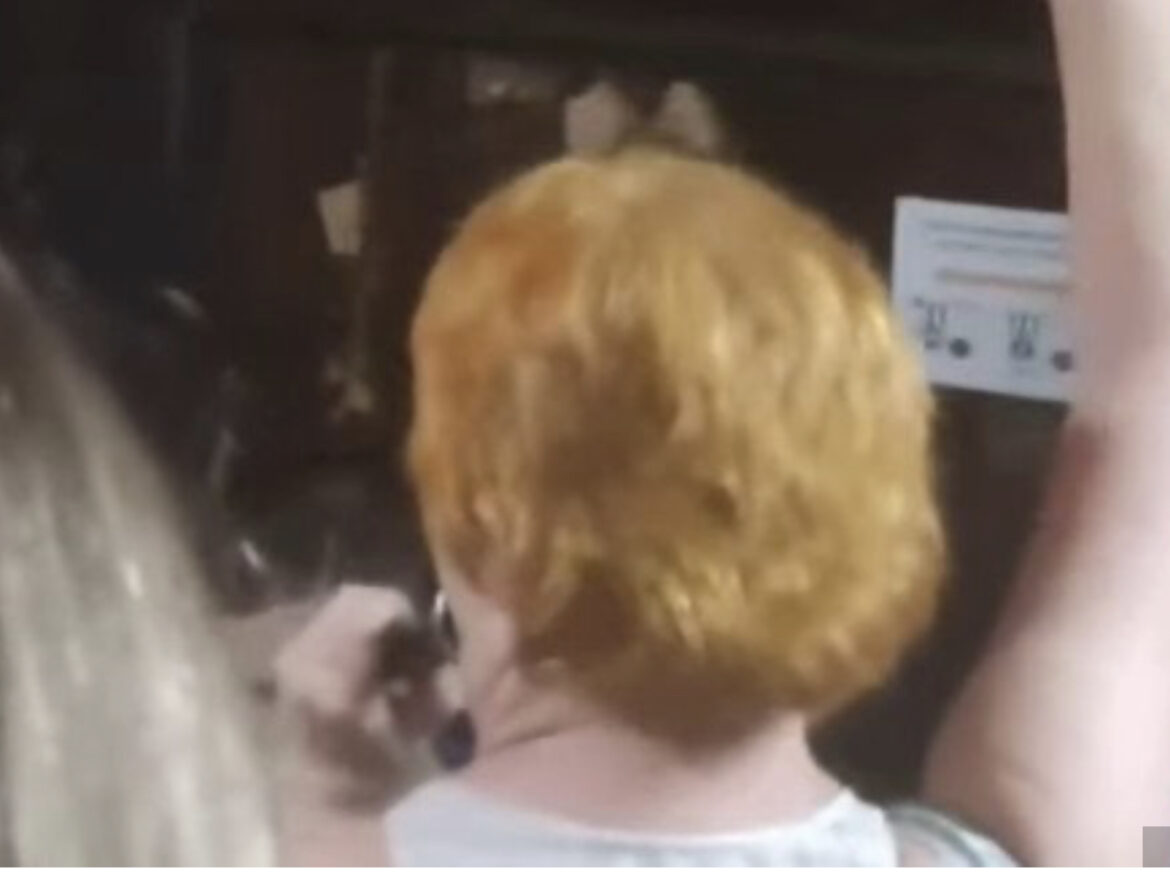 LUDA ŽURKA u Beogradu! Žena ušla u autobus sa mikrofonom pa napravila HAOS, svi zapevali (VIDEO)