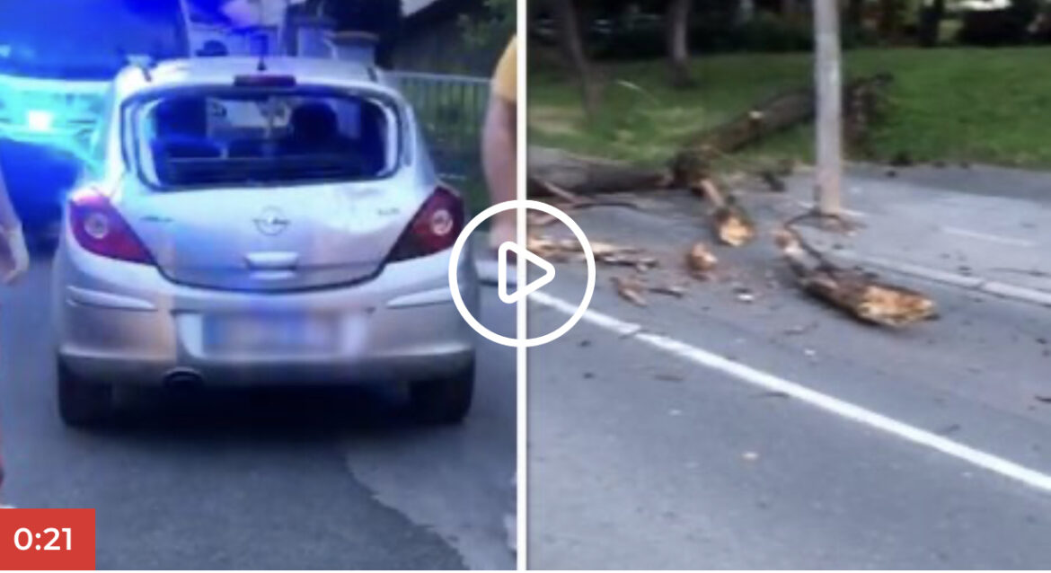 Obrušilo se drvo na automobil u Beogradu: Pogledajte snimak izlomljene „korse“