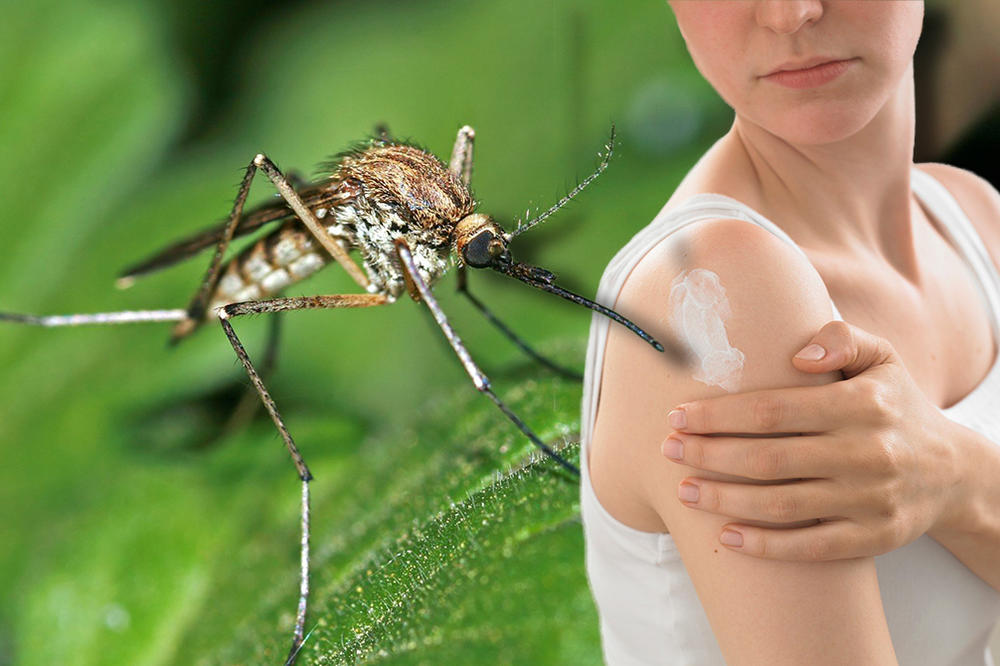 Nastavlja se akcija suzbijanja komaraca u Beogradu 