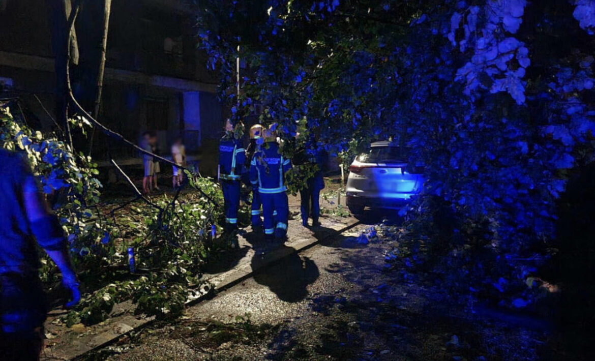 POD STALNIM JE NADZOROM LEKARA: Evo u kakvom je stanju devojčica (15) na koju je palo drvo u Novom Sadu
