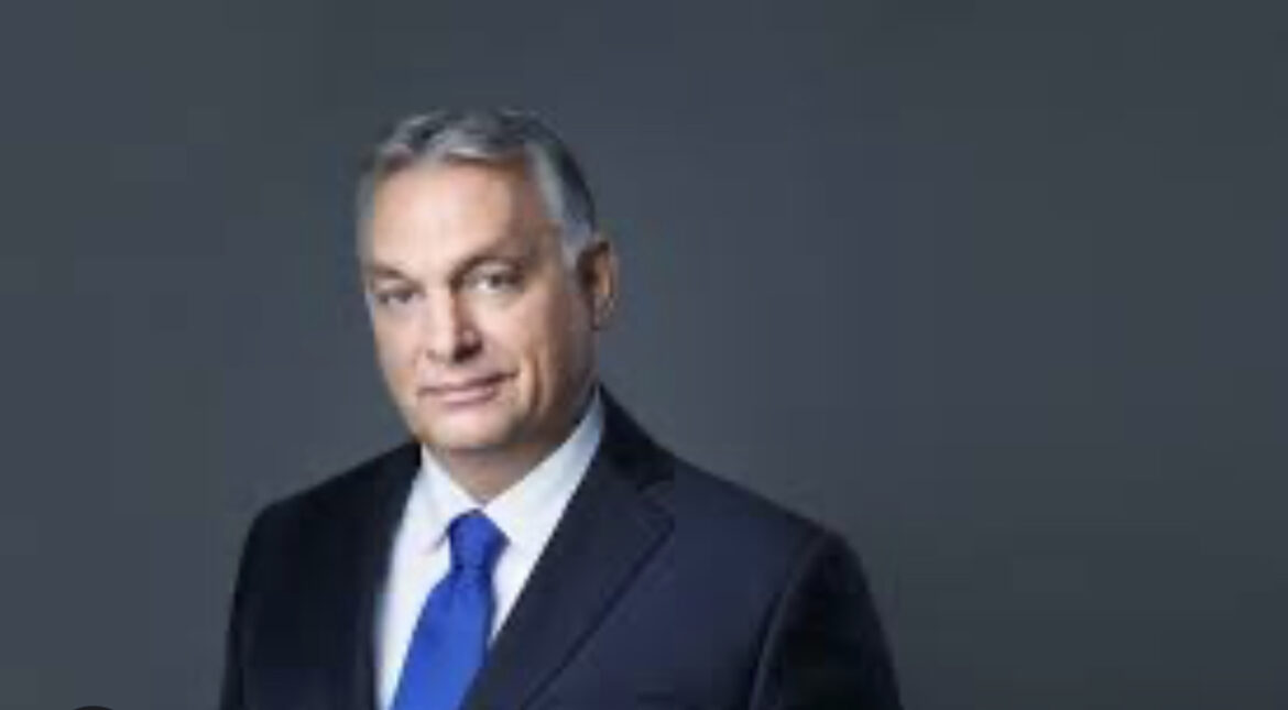 NAPADNUTA GRANIČNA PATROLA SRBIJE I MAĐARSKE: Pucano iz automatskog oružja, oglasio se Orban 