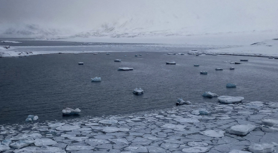 Duboko ispod leda Antarktika OTKRIVEN IZGUBLJENI SVET: Nekad je vrveo…