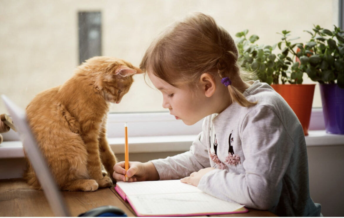 Deca koja žive sa mačkama imaju duplo veći rizik od razvoja šizofrenije, saopštili su naučnici