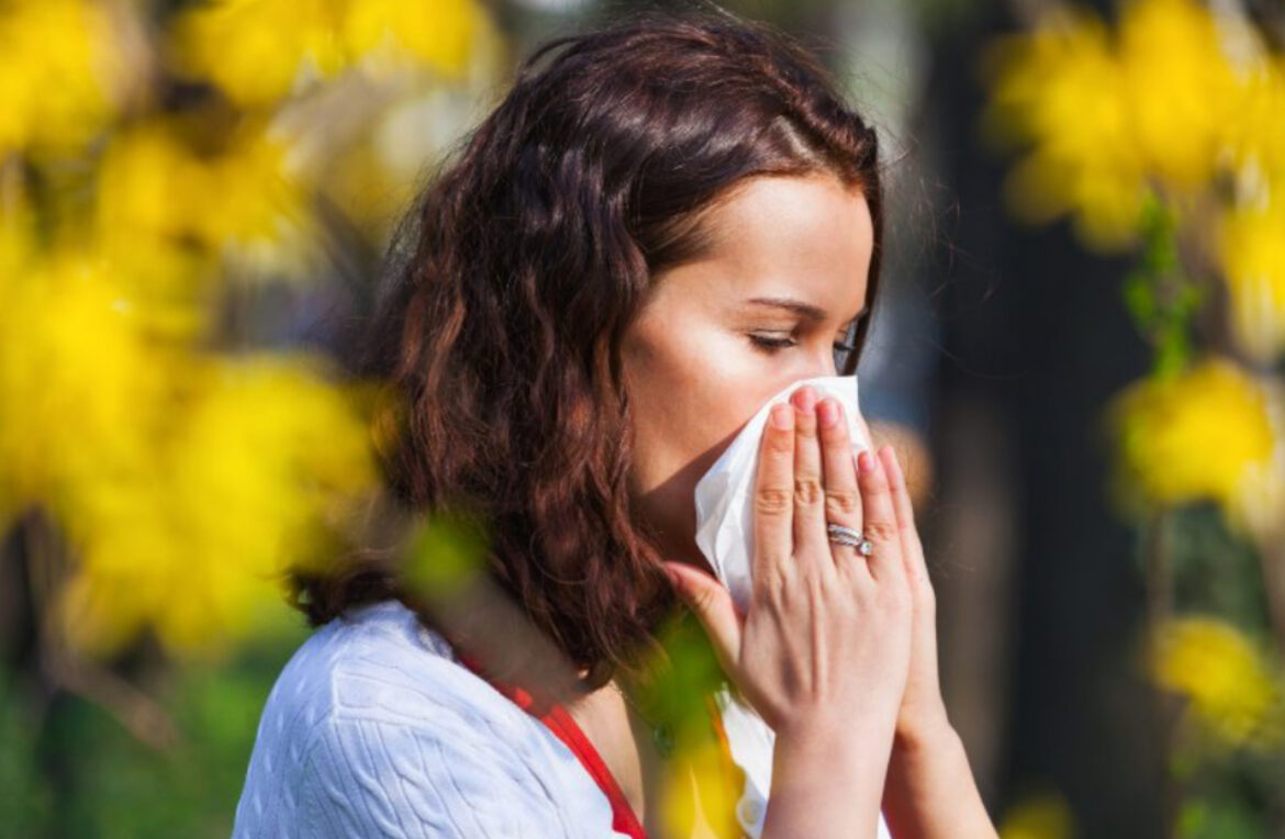 Upozorenje za sve alergične: Izuzetno velika količina polena u vazduhu