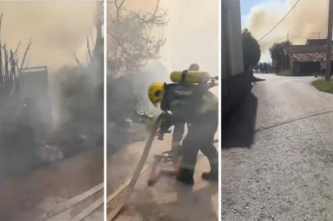 VELIKI POŽAR U OKOLINI ZEMUN POLJA, ČETIRI VATROGASNA VOZILA NA TERENU! Vlasnik pokušao da ugasi vatru – završio u bolnici! 