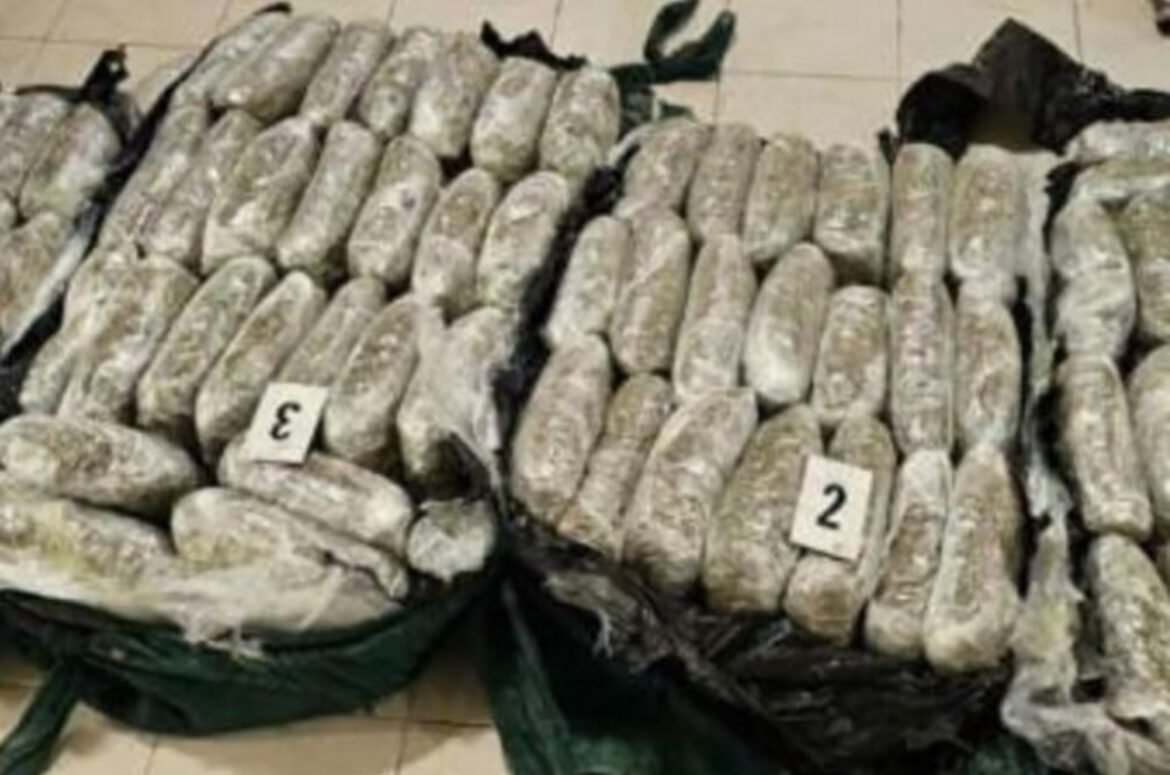 Zaplenjeno gotovo 100 kilograma marihuane u Tuzima