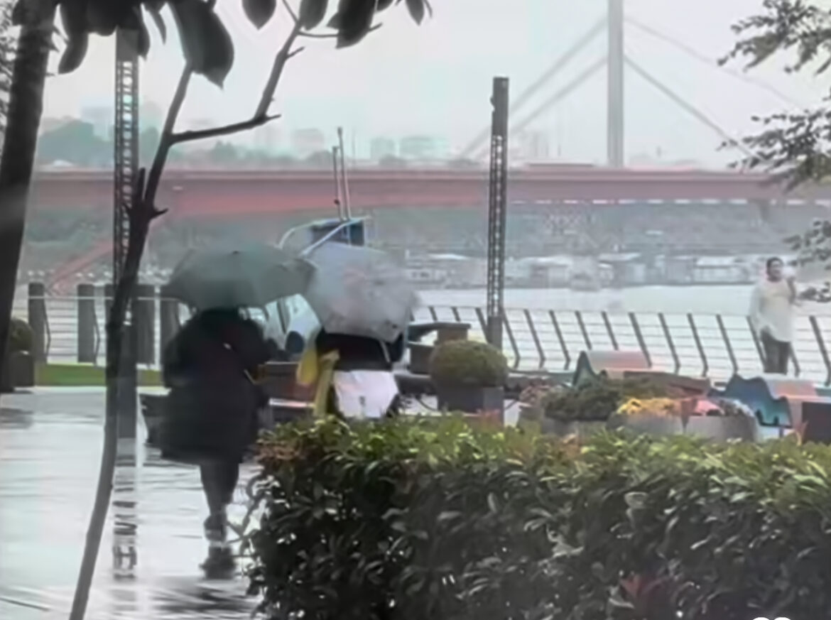 TRAMVAJI NE MRDAJU NA SLAVIJI, SVE STOJI I NA VIDIKOVCU Sneg, špic i kolaps u celom Beogradu – i u centru i na periferiji, a autoputu se mili 10 km