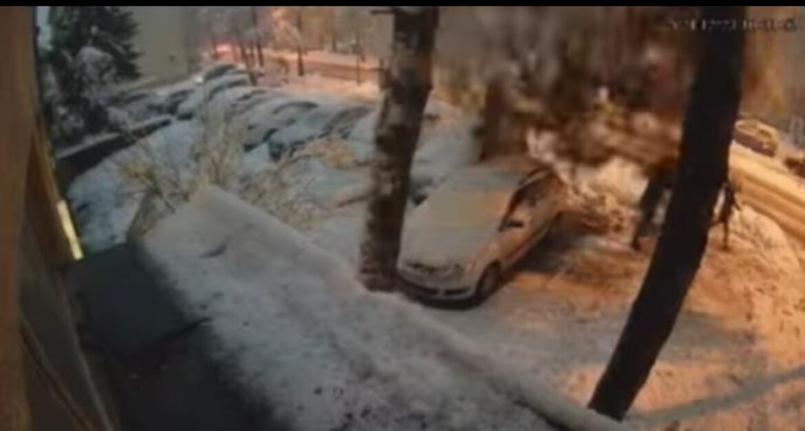 UZNEMIRUJUĆ SNIMAK IZ BANJALUKE: Drvo pada na prolaznika, drugi za dlaku izbegao nesreću (VIDEO)