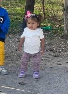 DETALJI NESTANKA DEVOJČICE U UBU Igrala se sa braćom, majka primetila da je nema kad je došla sa posla