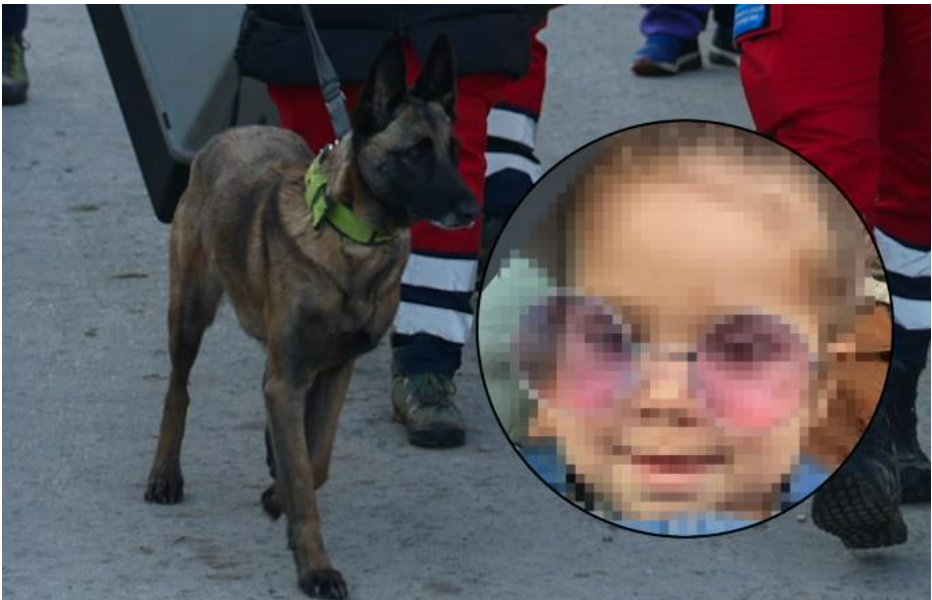 OVO JE PAS KOJI JE PRONAŠAO MALU DUNJU (2)! Junak potrage je pas Gorske službe spasavanja Srbije (FOTO)