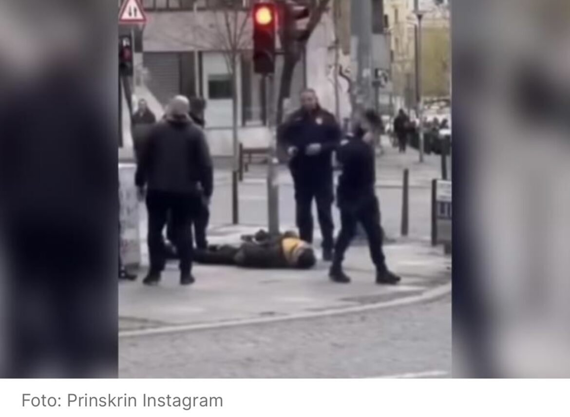 UHAPŠEN MLADIĆ KOJI JE IZMASAKRIRAO PSA U BEOGRADU! Oglasio se MUP o zverskom napadu na nedužno biće! Zadržan na psihijatrijskom lečenju