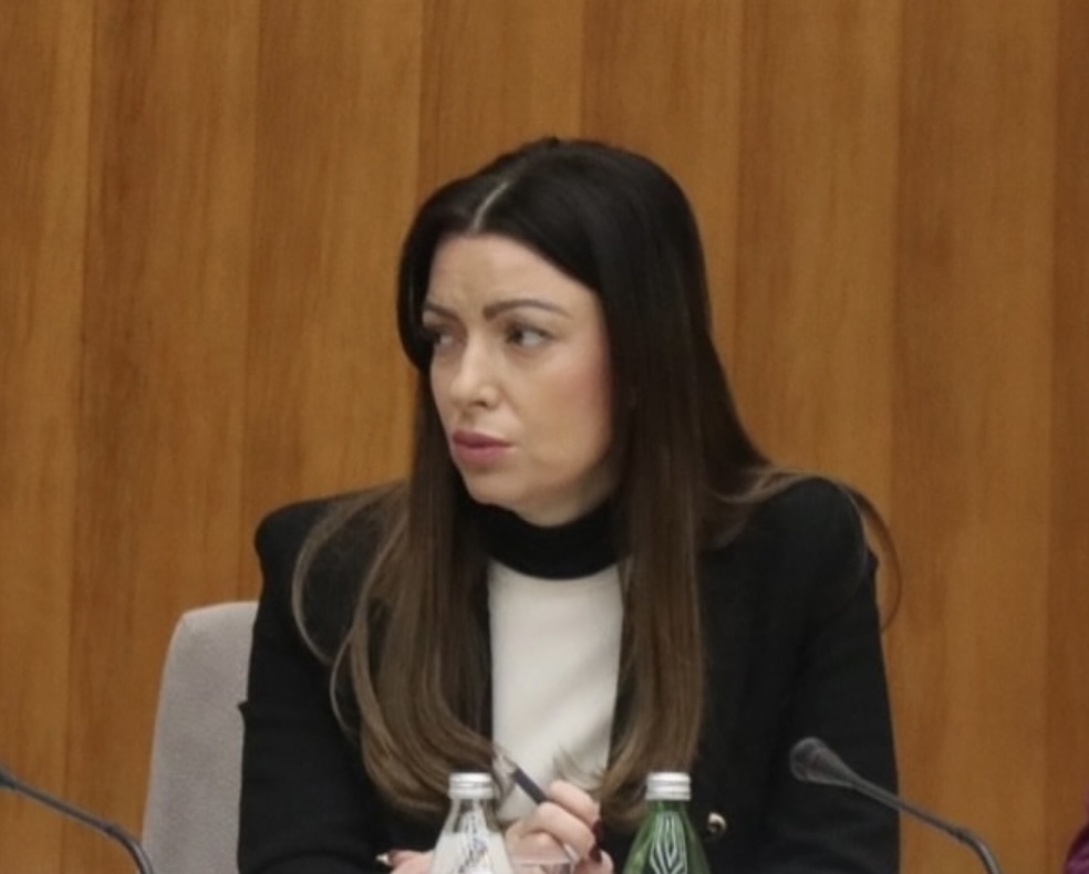Ministarka Mesarović prisustvovala otvaranju fabrike u Inđiji: „Srbija je centar poslovanja japanskog giganta“