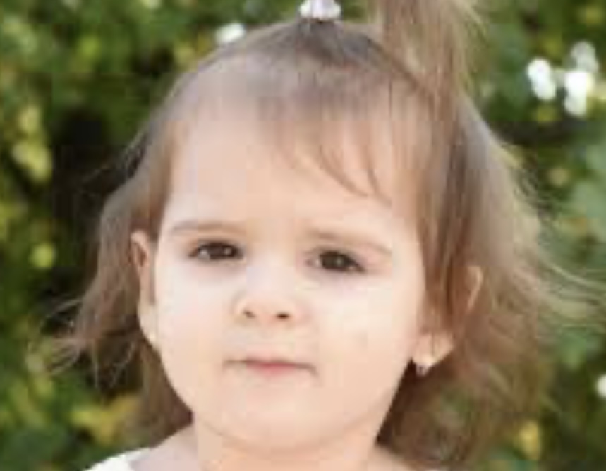 POSLE DVA MESECA GOTOVI REZULTATI REKONSTRUKCIJE NESTANKA DNAKE ILIĆ (2): Zapisnici poslati strankama, a ovo su sledeći koraci!