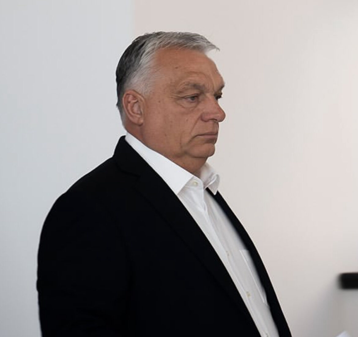ORBAN DIGAO GLAS: Nećemo priznati presudu Dodiku – ovo je obračun s nepokornima!