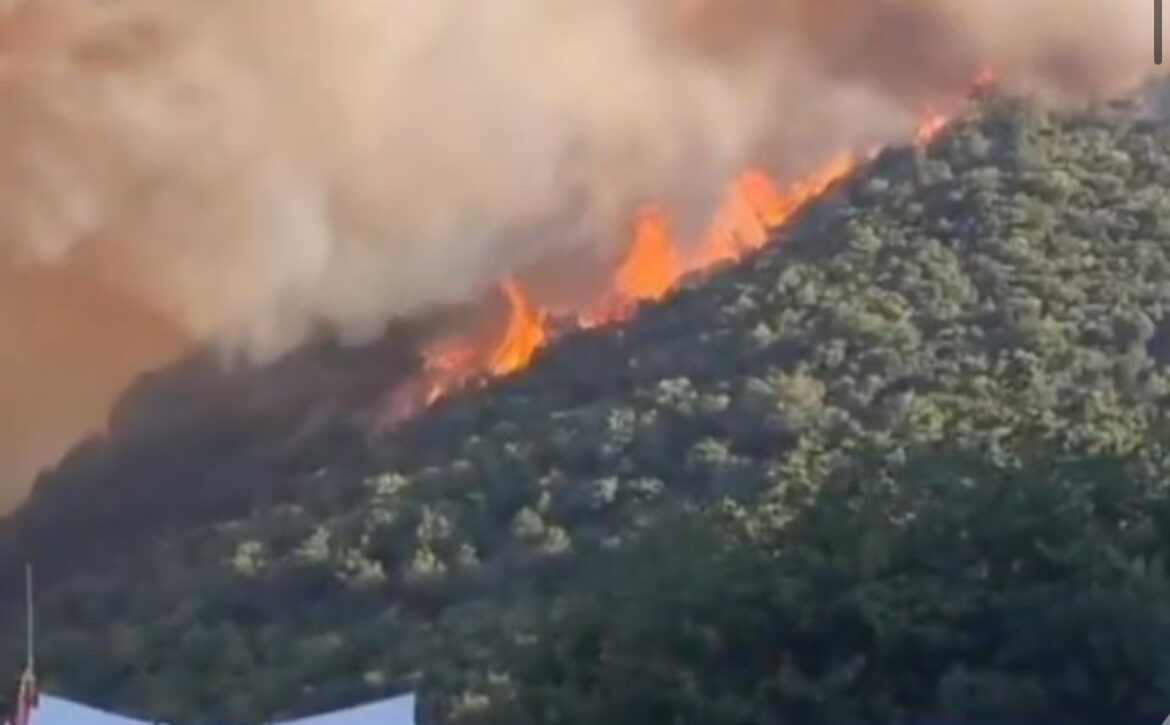 BUKTI OGROMAN POŽAR IZNAD ČANJA, VATRA ZAHVATILA MAGISTRALU! Zapaljeni auto izazvao haos, pogledajte strašne snimke iz Crne Gore (VIDEO)