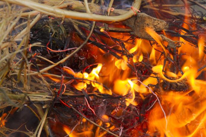 Običaji na treći dan Božića koje treba da poštujete: Tradicija nalaže da žene ovo obave, a evo šta se radi sa božićnom slamom