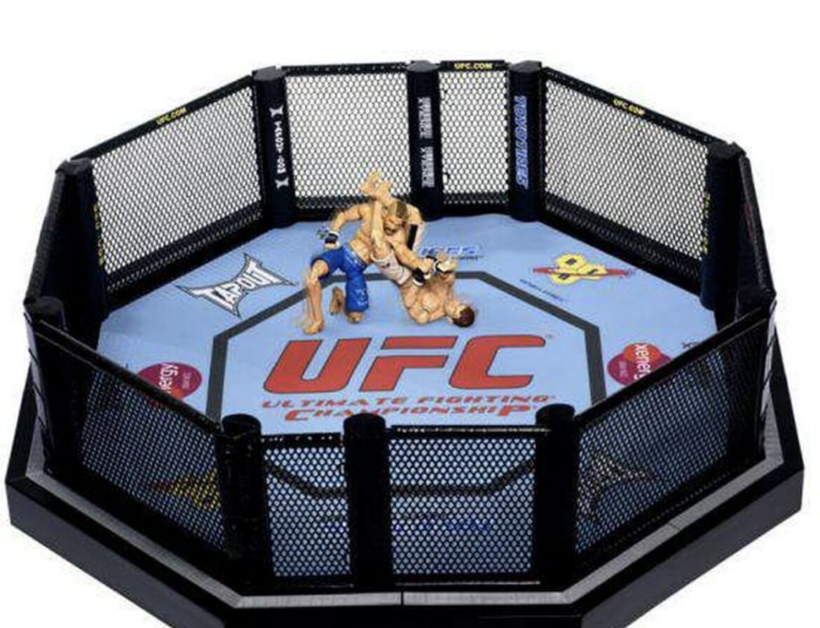 BOMBA! UFC DOLAZI U BEOGRAD! Srbija ulazi među odabrano društvo, evo kada najjača MMA organizacija dolazi u našu zemlju!