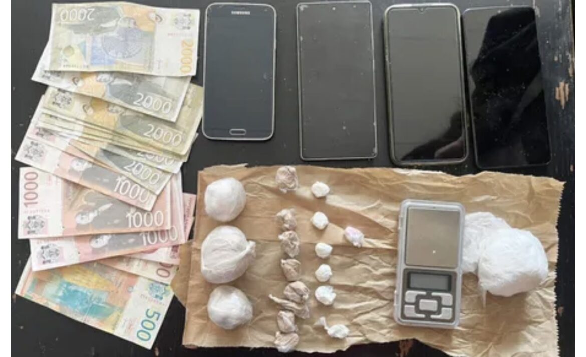 KRAH ULIČNIH DILERA: Detalji velike policijske akcije na Novom Beogradu!
