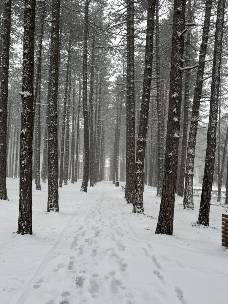 Sneg ponovo očekuje OVE delove Srbije, EVO i kada: Na&hellip;